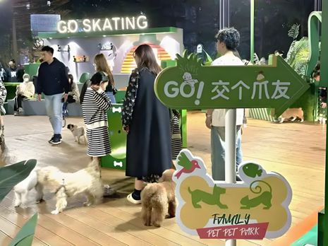 鲜生丨宠物坐高铁侯毅下厨房pg电子免费模拟器实探派特(图2)