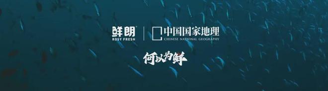 布国内首个《鲜肉烘焙全价宠物食品》标准pg电子模拟器试玩从开创到引领：鲜朗发