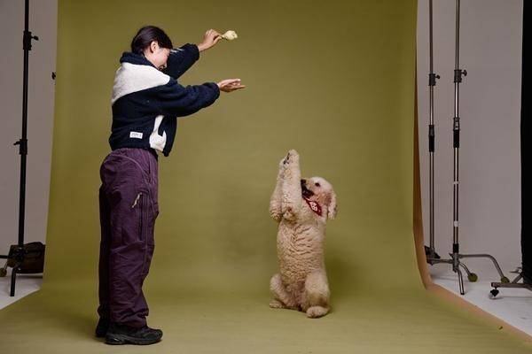 动物“逐梦演艺圈”pg电子平台他们带(图3)