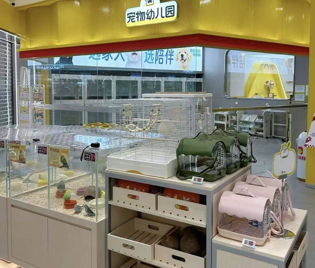 单！毛孩子也有新年三件套pg电子免费模拟