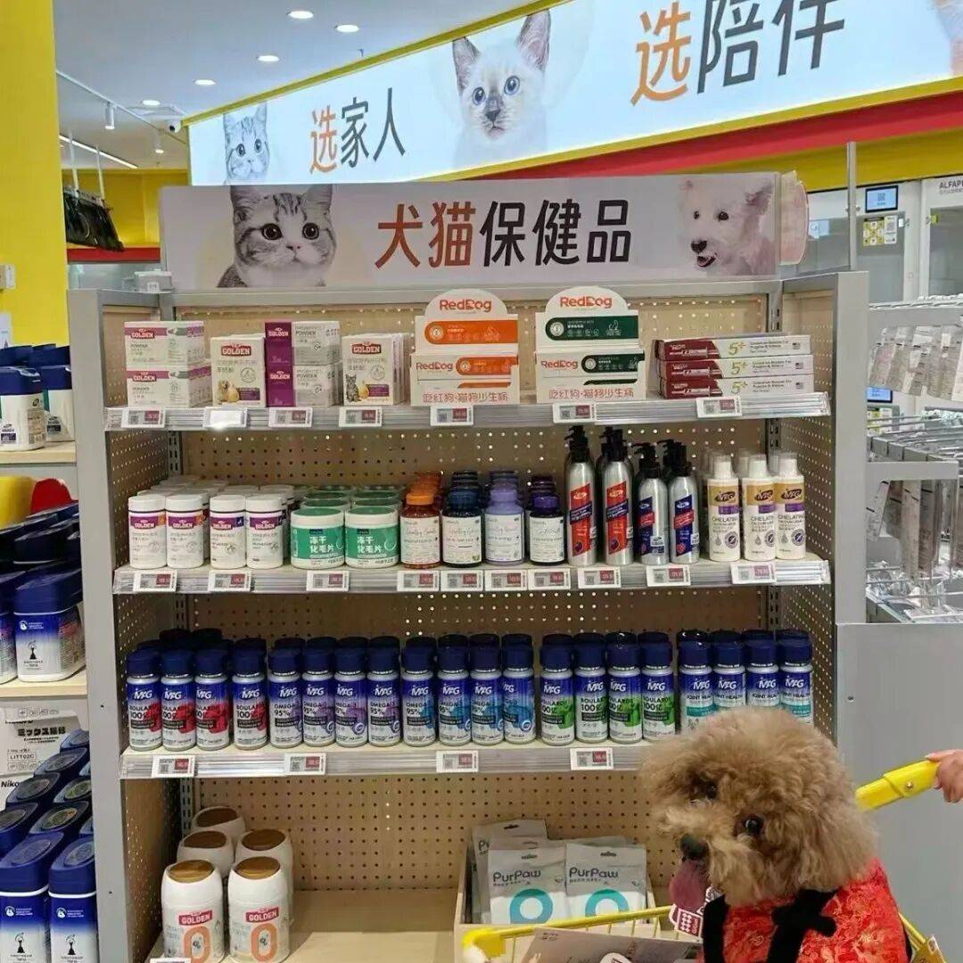 单！毛孩子也有新年三件套pg电子免费模拟器游戏爆(图7)