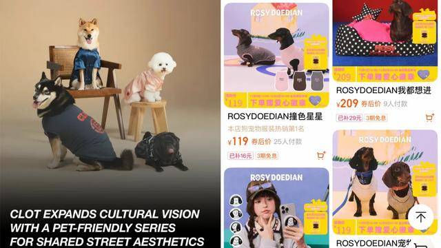 市场赵露思、陈冠希纷纷加入pg模拟器3000亿猫狗大