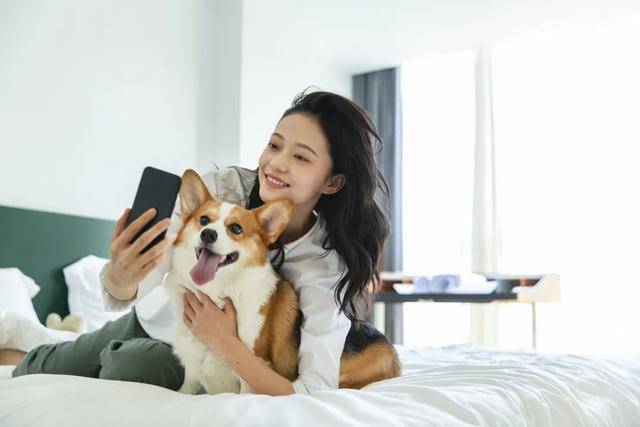 市场赵露思、陈冠希纷纷加入pg模拟器3000亿猫狗大(图7)